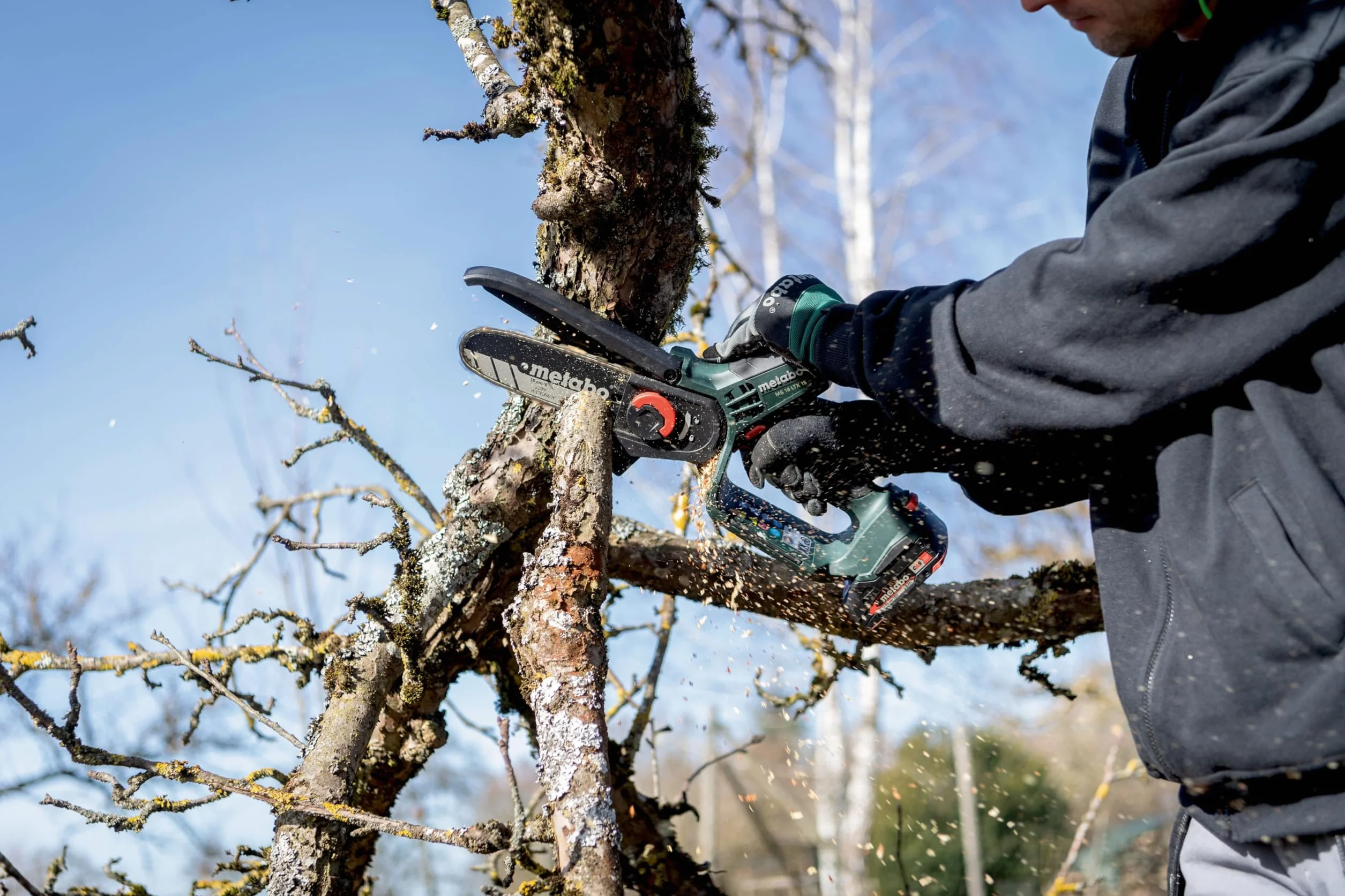 metabo MS 18 LTX 15 Sierra de Poda a Batería, 18V Motosierra Compacta | Mini sierra de cadena ligera, 5 m/s, longitud de corte 15 cm, sin batería ni cargador, compatible con sistema CAS